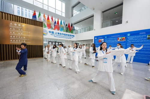中国 上海合作组织经贸学院上合组织国家 国情与文化培训班成功举办 山东科技大学新闻网