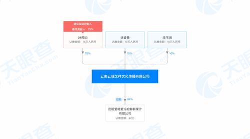 碰瓷央企 中国云铜导演天价商标案 三企业互关联